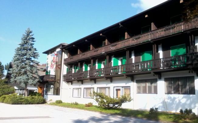 Фото отеля Regina Delle Dolomiti