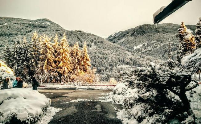 Фото отеля Regina Delle Dolomiti