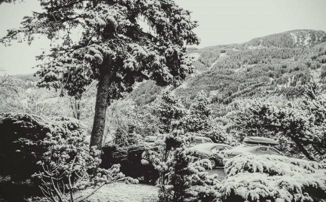 Фото отеля Regina Delle Dolomiti