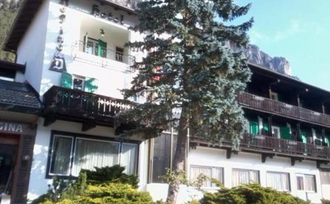 Фото отеля Regina Delle Dolomiti