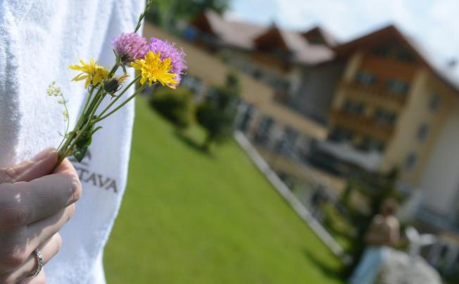 Фото отеля Park Hotel Rio Stava