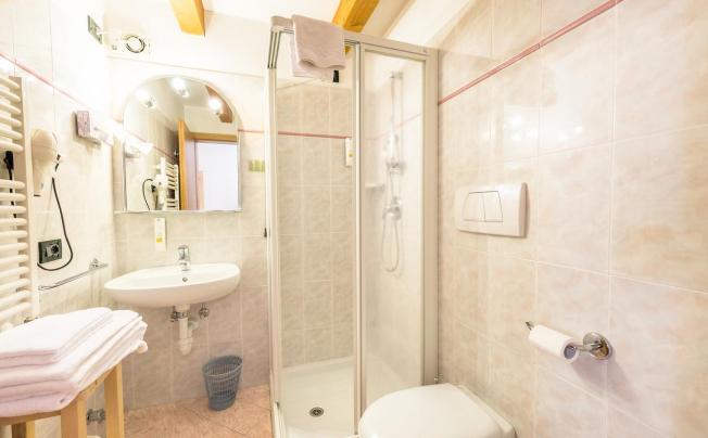 Фото отеля Albolina Alpstyle Hotel