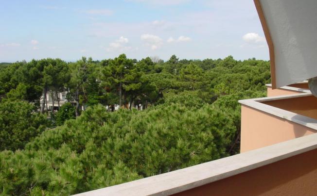 Фото отеля Amigos Golf Hotel