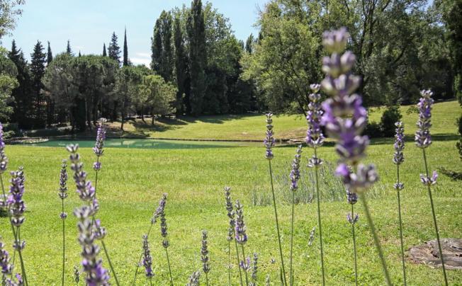 Фото отеля West garda