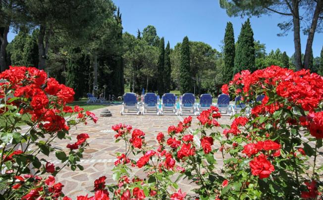 Фото отеля West garda