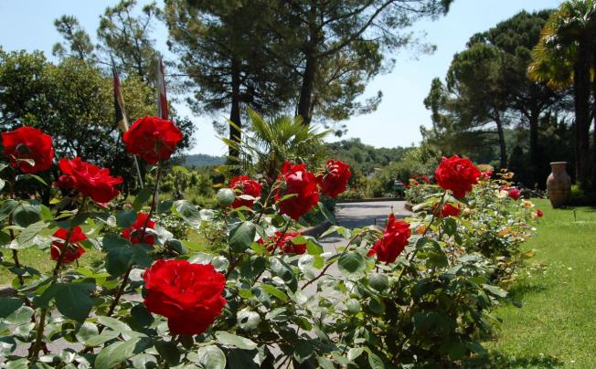 Фото отеля West garda