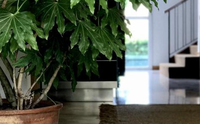 Фото отеля Harvey Aparth