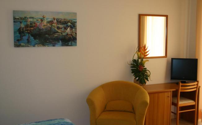 Фото отеля Hotel Ribot