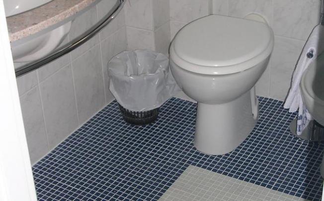 Фото отеля Hotel Ribot
