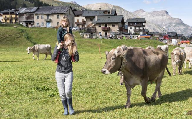 Фото отеля Concordia Hotel Livigno
