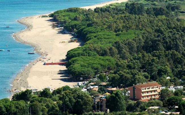 Фото отеля Hotel Mediterraneo 3*
