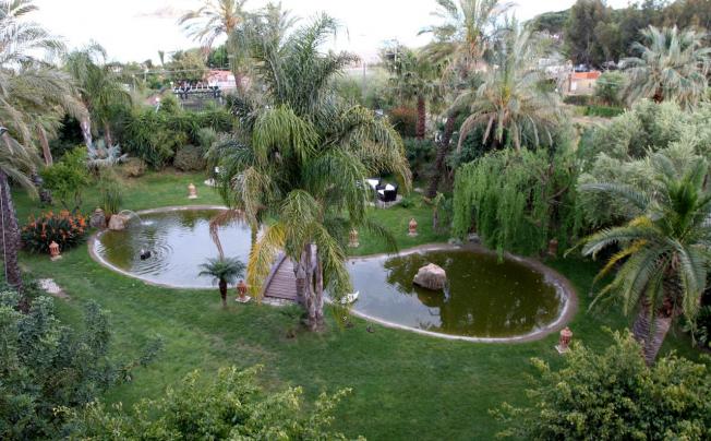 Фото отеля Hotel Mediterraneo 3*