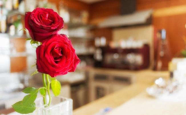 Фото отеля Hotel Due Rose