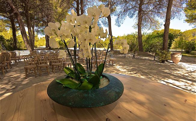 Фото отеля Vivosa Apulia Resort