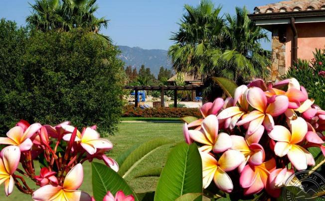 Фото отеля Lantana Resort