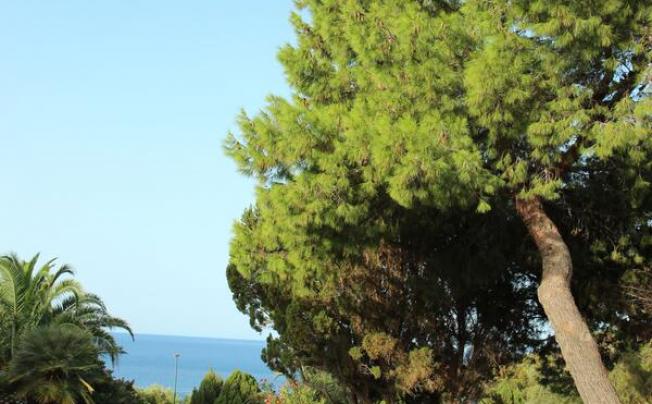 Фото отеля Baia Delle Ginestre Hotel