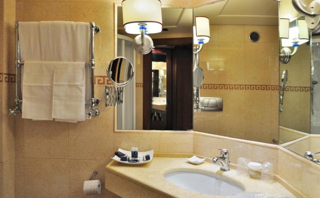 Фото отеля Pineta Palace
