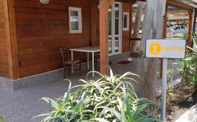 Фото отеля Cucaracha Hotel