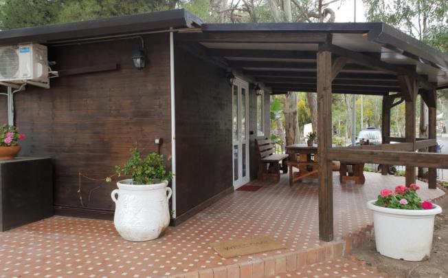 Фото отеля Cucaracha Hotel