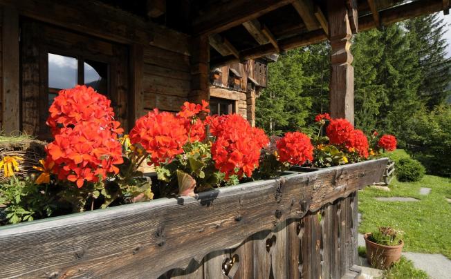 Фото отеля Chalet Corso Hotel