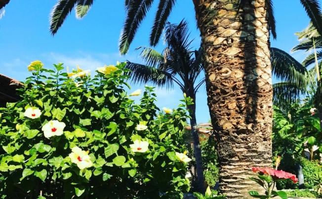 Фото отеля Cala Di Volpe Hotel Villaggio