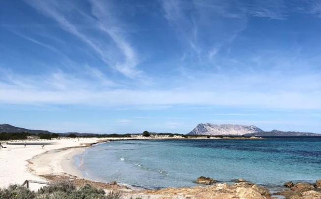 Фото отеля San Teodoro
