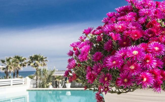 Фото отеля Canne Bianche Lifestyle Hotel