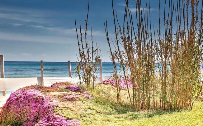 Фото отеля Canne Bianche Lifestyle Hotel