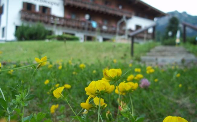 Фото отеля Villa Romagna
