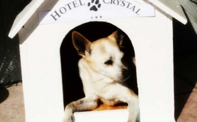 Фото отеля Hotel Crystal