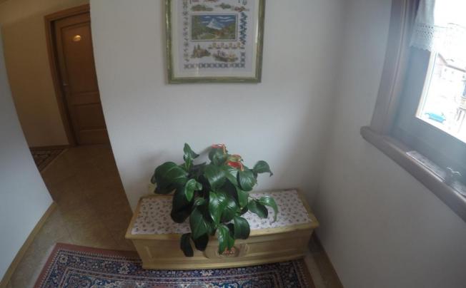 Фото отеля Chalet Moon 