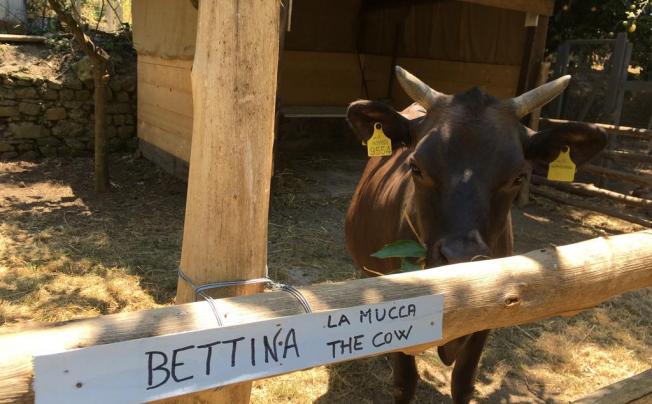 Фото отеля Podere Don Peppe Agriturismo