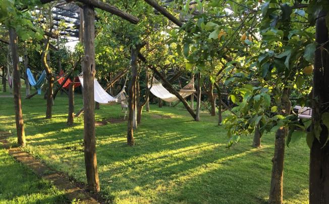 Фото отеля Podere Don Peppe Agriturismo