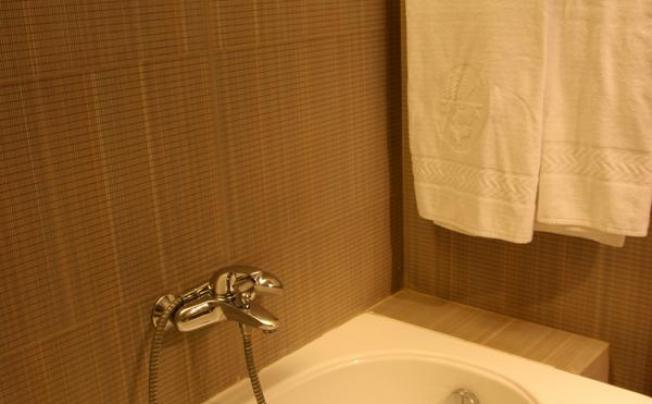 Фото отеля Garda Hotel
