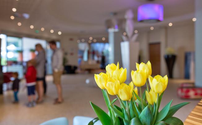 Фото отеля Hotel palace