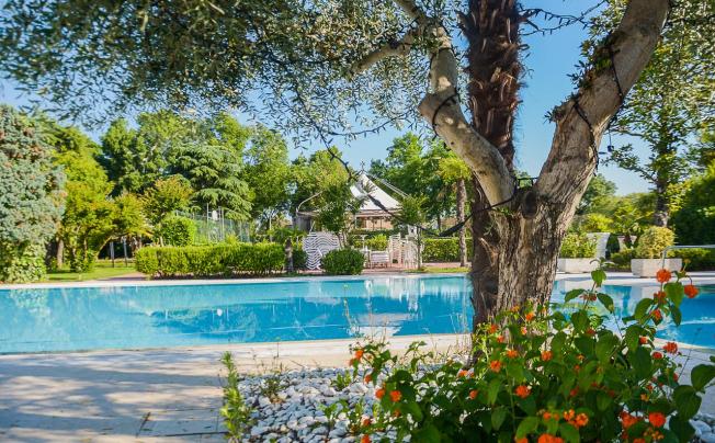 Фото отеля Bellavista Terme Resort & Spa