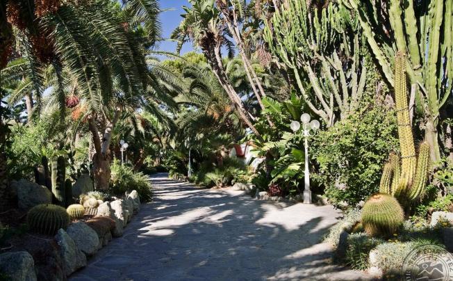 Фото отеля Terme Mediterraneo