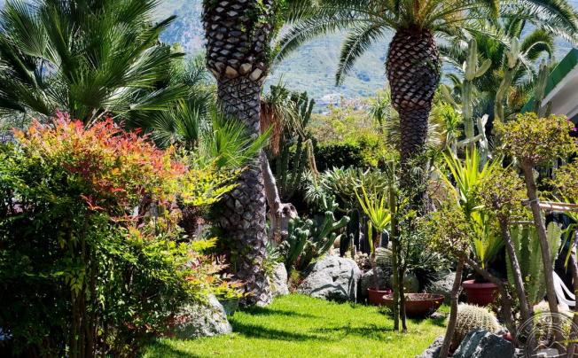 Фото отеля Terme Mediterraneo