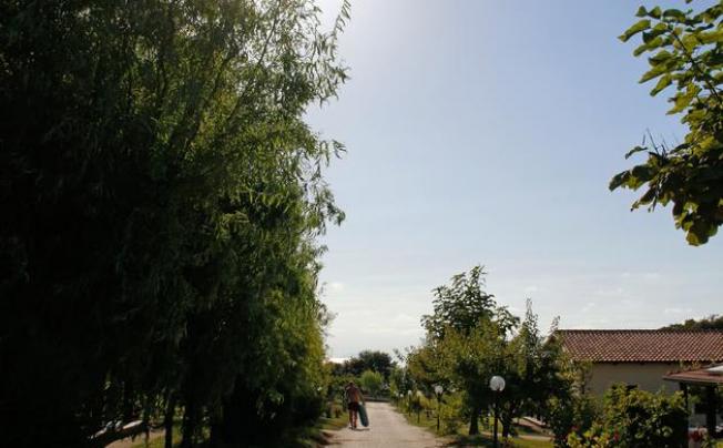 Фото отеля Agriturismo Ninea