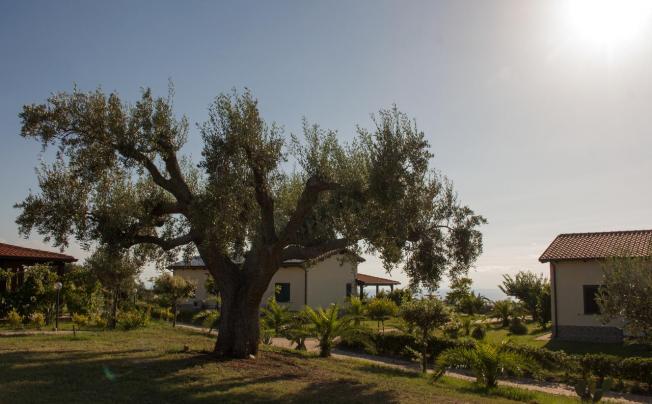 Фото отеля Agriturismo Ninea