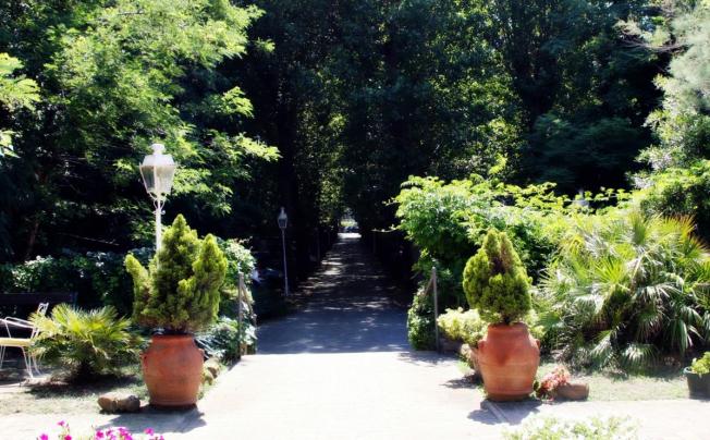 Фото отеля Hotel furia