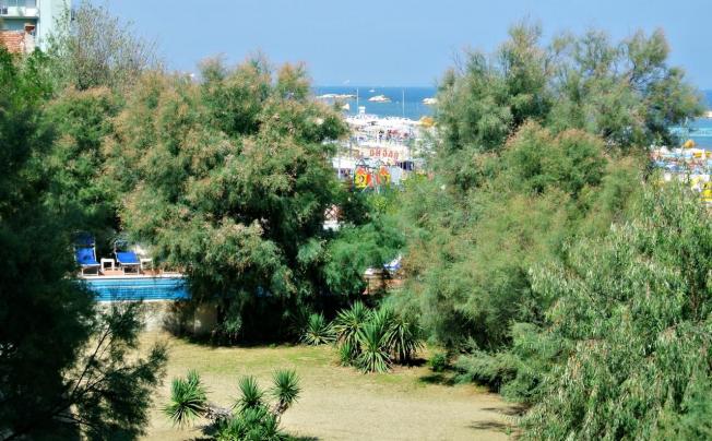 Фото отеля Hotel furia