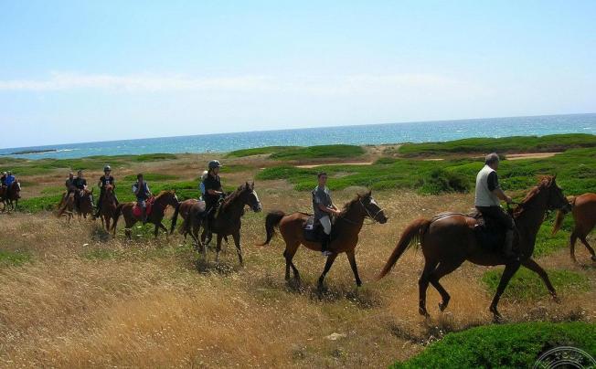 Фото отеля Horse Country Resort Congress & Spa