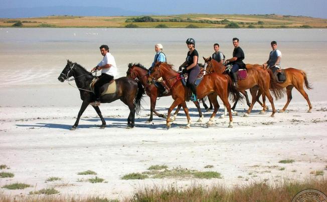 Фото отеля Horse Country Resort Congress & Spa