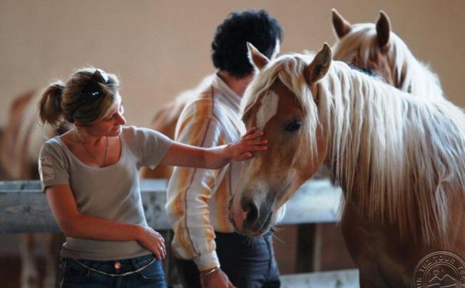 Фото отеля Horse Country Resort Congress & Spa