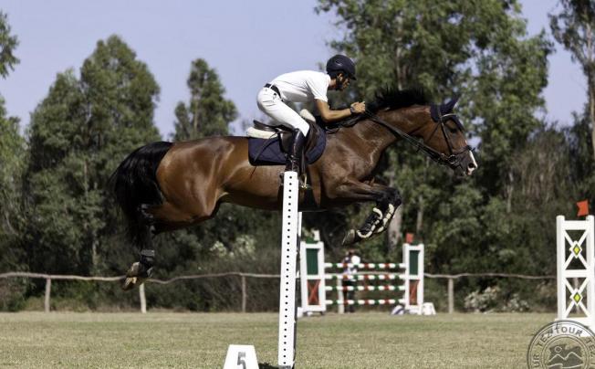 Фото отеля Horse Country Resort Congress & Spa
