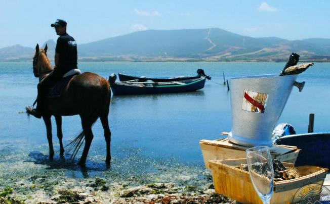 Фото отеля Horse Country Resort Congress & Spa