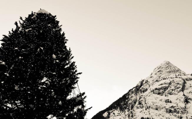 Фото отеля Walser