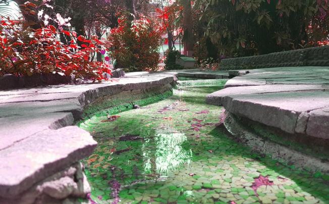 Фото отеля Villa piave