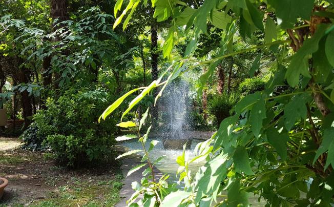 Фото отеля Villa piave